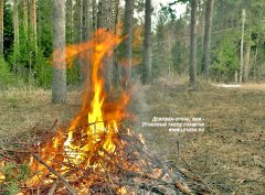 Девушка-огонь на лесной поляне