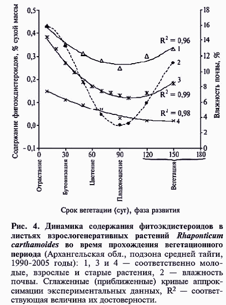 Продуктивность фитомассы левзеи сафлоровидной в онотогенезе(Productivityleuzea, Rhaponticum carthamoides)  (31k)