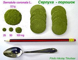 Серпуха-порошок из апикальных частей побегов серпухи венценосной (содержат до 5 % экдистерона) - Leaves parts of Serratula coronata